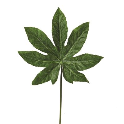 Leaf Aralia 38Cm