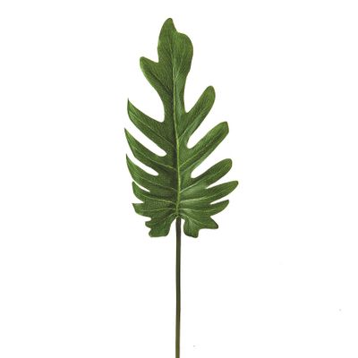 Leaf Philodendron 40Cm