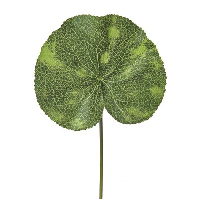 Leaf Lotus 33Cm