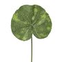 Leaf Lotus 33Cm