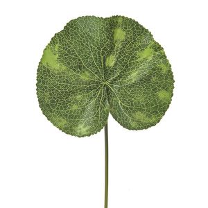 Leaf Lotus 33Cm
