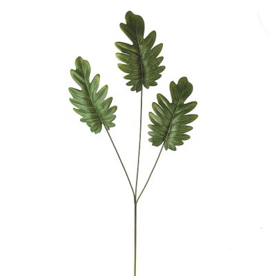 Leaf Split Philodendron Spray X3 71Cm