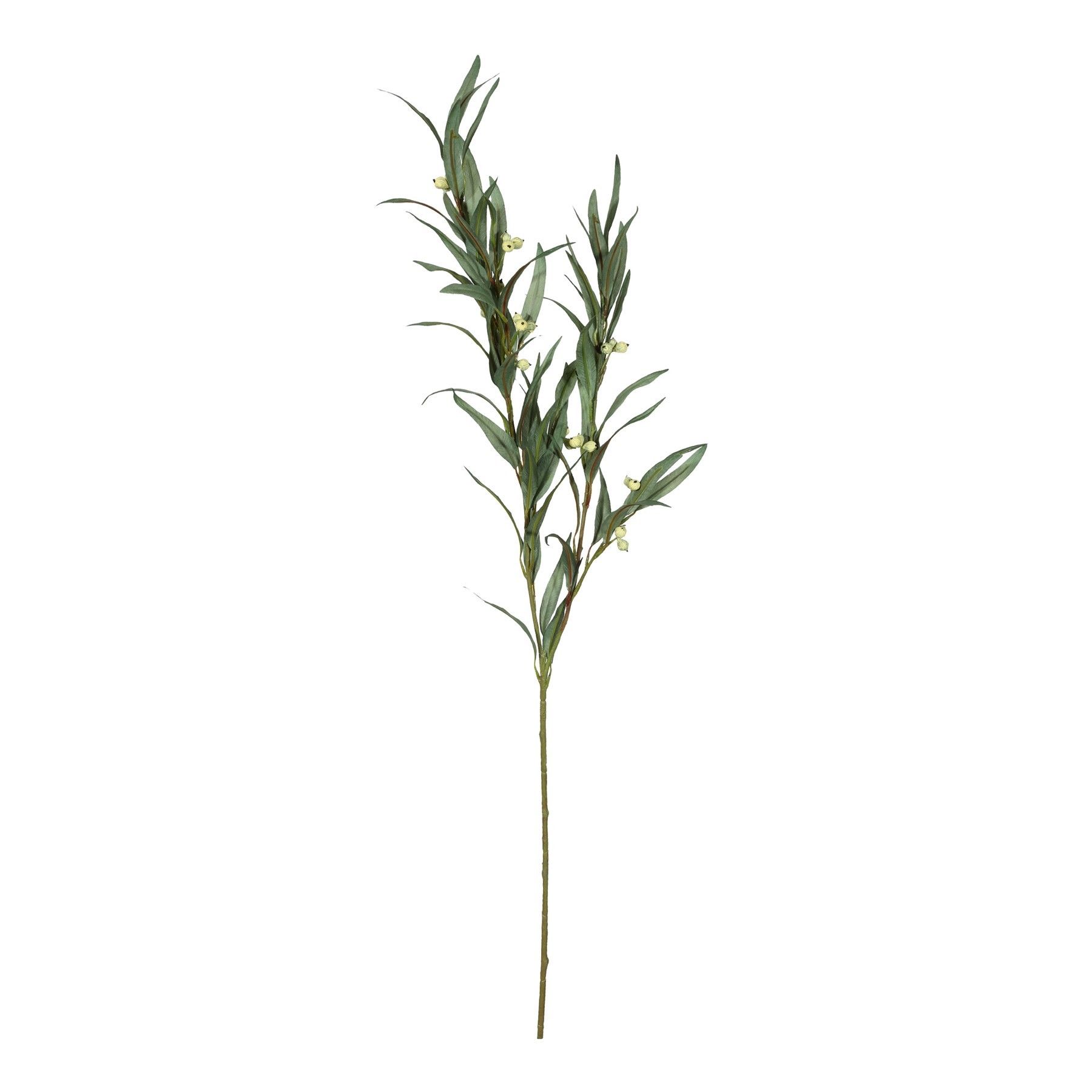 Eucalytus Berry - 88cm