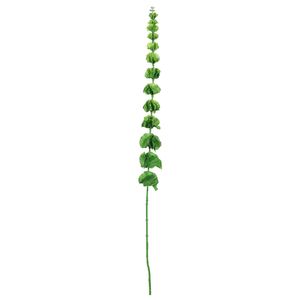 Bell Of Ireland Spray - 102cm