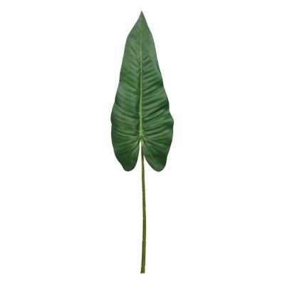 Philodendron Stem Green - 109cm