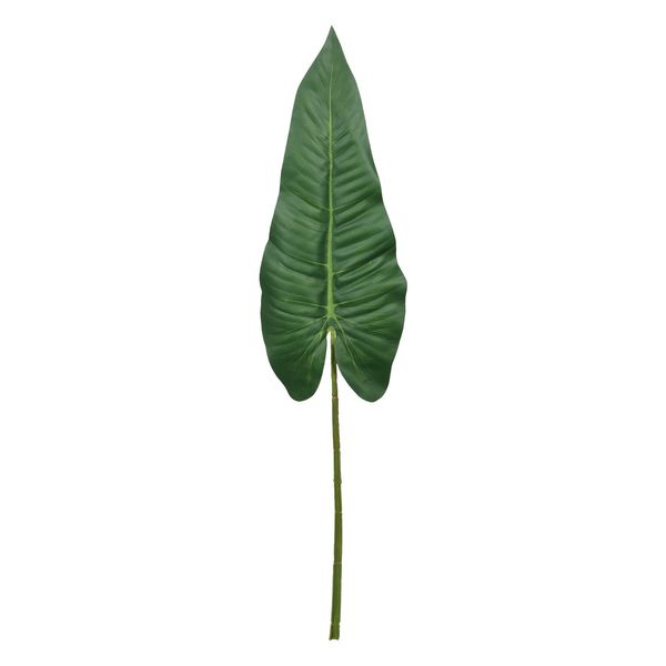 Philodendron Stem Green - 109cm