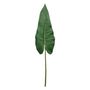 Philodendron Stem Green - 109cm