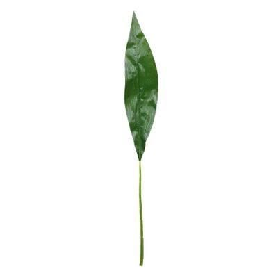 Aspidistra Leaf Spray - 93cm