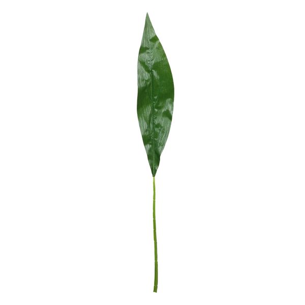 Aspidistra Leaf Spray - 93cm