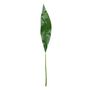 Aspidistra Leaf Spray - 93cm