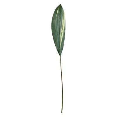 Aspidistra Spray - 130cm