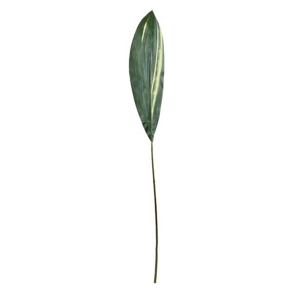 Aspidistra Spray - 130cm