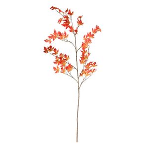Maple Leaf - Orange - 172cm