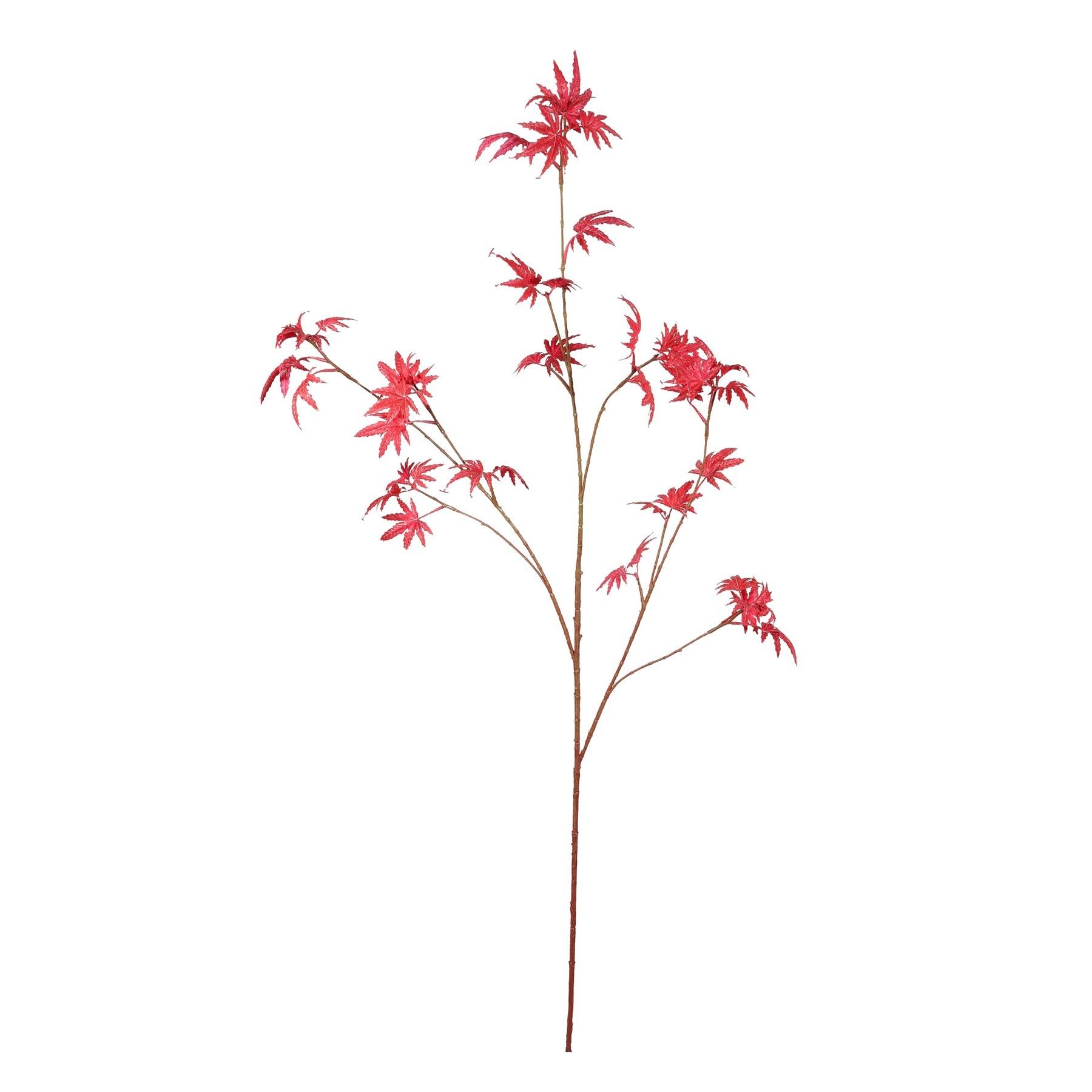 Maple Leaf - 116cm