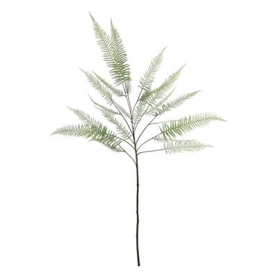 Fern Leaf - 162cm