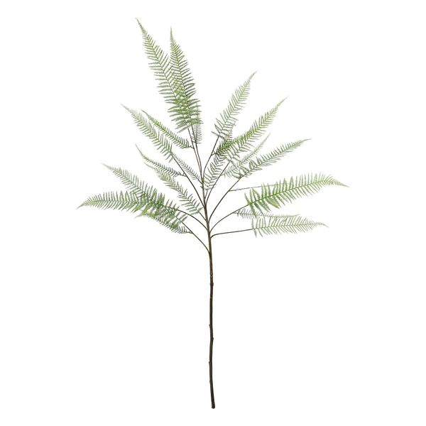 Fern Leaf - 162cm