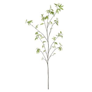 Acer Leaf Spray - 172cm