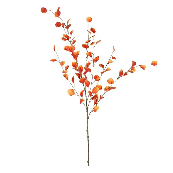 Eucalyptus Spray Orange - 121cm