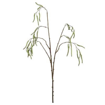 Alder Tree Spray - 81cm