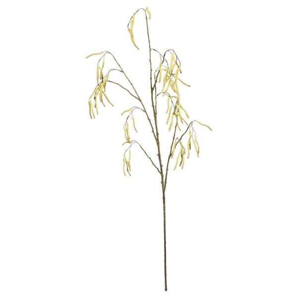 Alder Tree Spray Yellow - 121cm