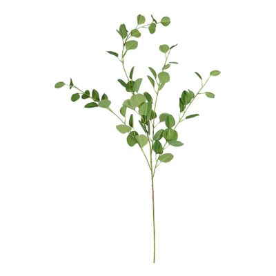 Eucalyptus Spray - 109cm