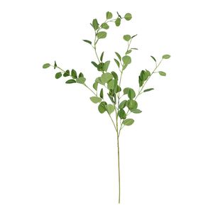 Eucalyptus Spray - 109cm