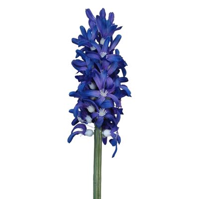 41.5cm Hyacinth Purple