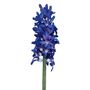 41.5cm Hyacinth Purple