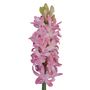 41.5cm Hyacinth Pink