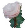 65cm Peony Rose Lt Pink