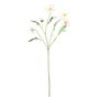 Scabiosa Spray - Light Pink - 68cm