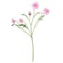Scabiosa Spray - Purple - 68cm