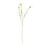 Cornflower Spray Cream X 3 - 65cm