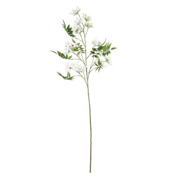 Blossom Spray Cream - 148cm