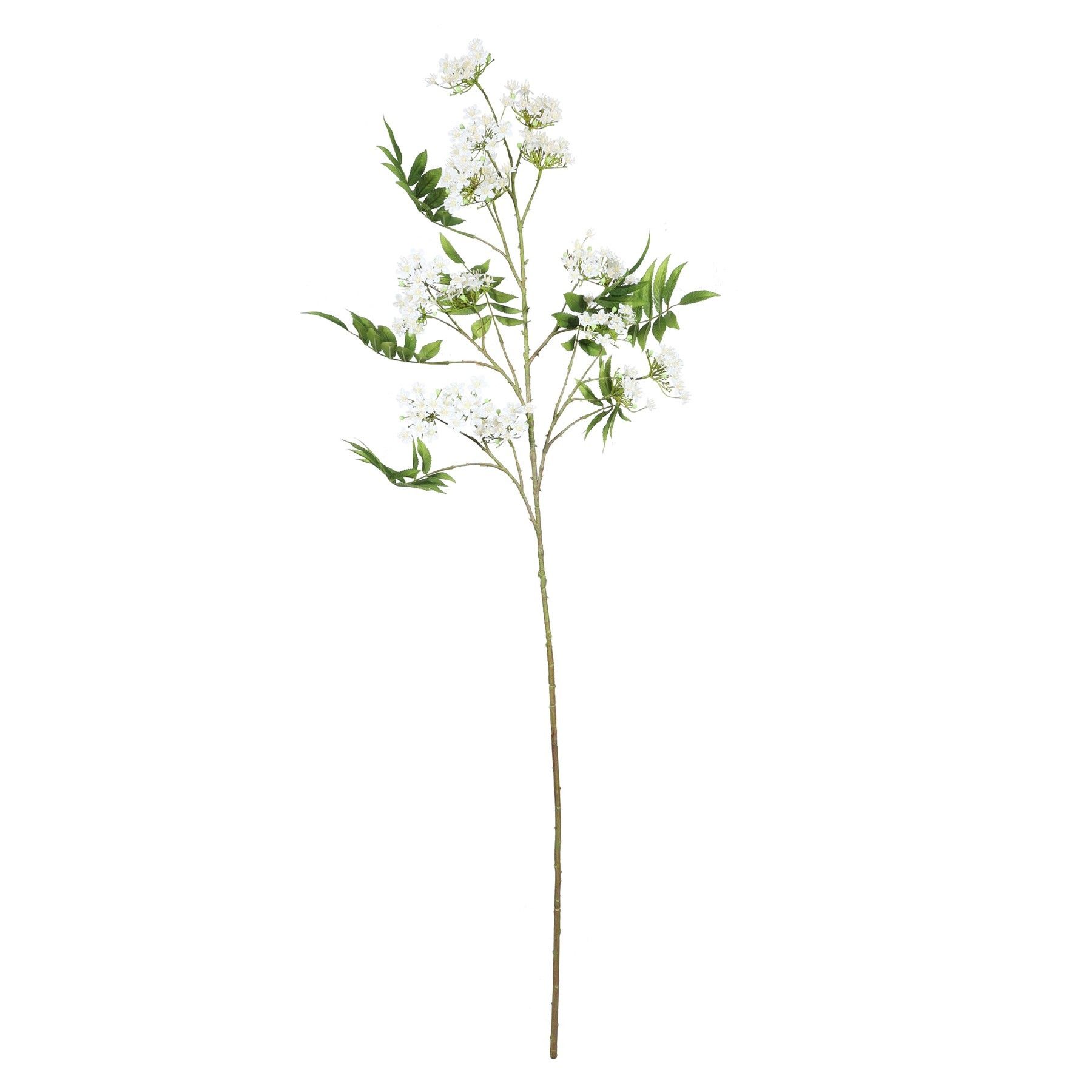 Blossom Spray Cream - 148cm