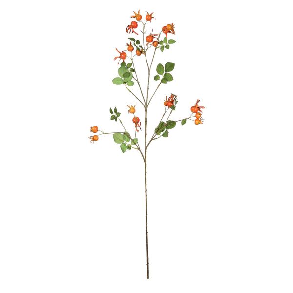 Rose Hips Spray - 96cm