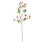 Rose Hips Spray - 96cm