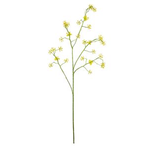 Cornus Mas Tree Flower Yellow - 75cm