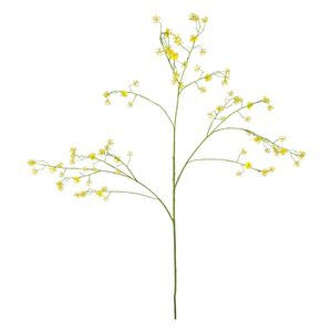 Cornus Mas Tree Flower - 123cm