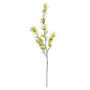 Mimosa - 111cm