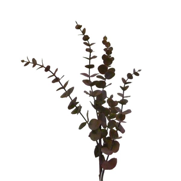 75cm Jade Eucalyptus Purple