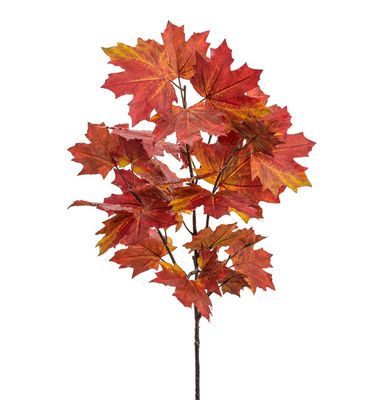 112cm Maple Spray Orange
