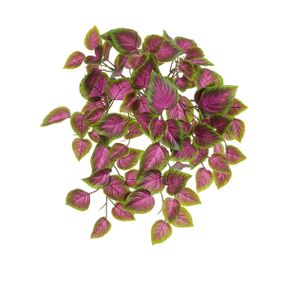 54cm Coleus Bush Pink/Green UV