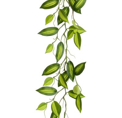 Wandering Jew Garland