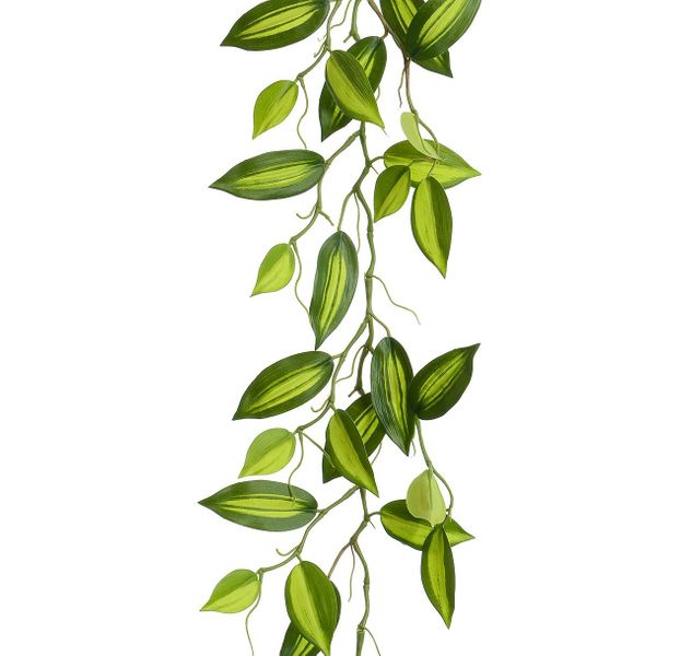 Wandering Jew Garland