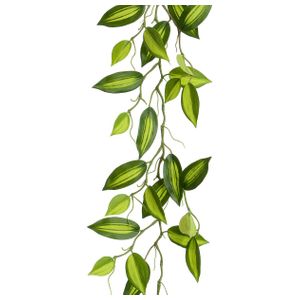 Wandering Jew Garland