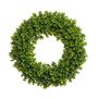 17" Boxwood Wreath