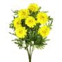 Marigold Bush Yellow