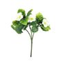 Exterior Junglist Pansy Bush U.V - Cream - 21cm