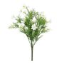 Exterior Cosmos Bush U.V - White - 42cm